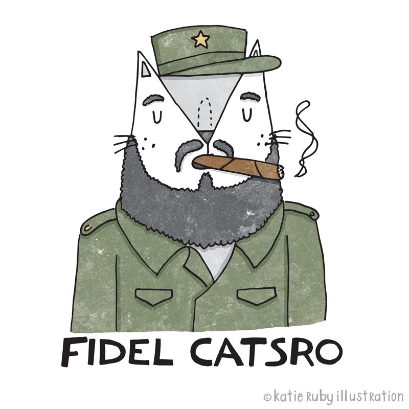 Fidel Castro Cat Pun Illustration